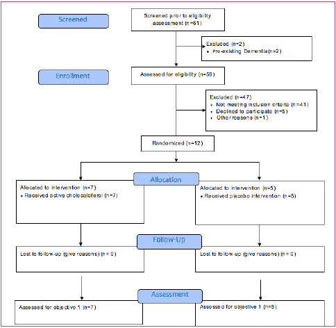 Figure 1. Vitamin D Supplementation Participants’ Flow Diagram